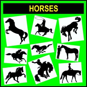 Animals - Horses