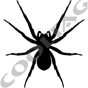 Spider Stickers Decals