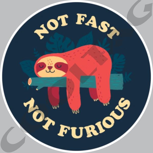 Not fast not furious Stickers Decals